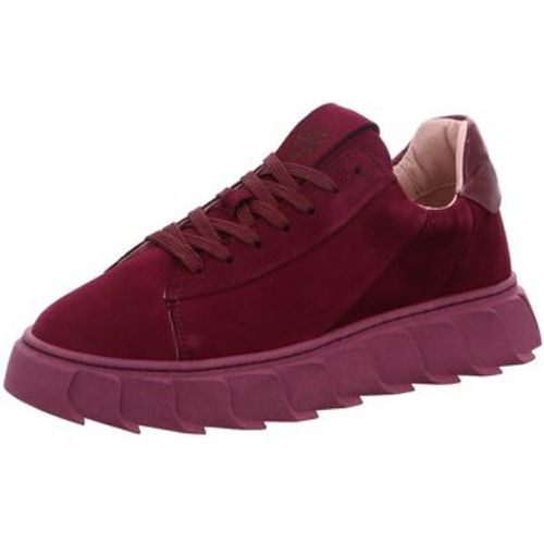 Sneaker AW23-Lagos 53 - Apple of Eden - Modalova