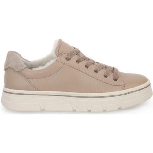 Ara Schuhe CERVO CALF Beige In Damengrößen erhältlich. 40. Jetzt CERVO CALF von Ara auf Spartoo.de versandkostenfrei bestellen! - 26698452F5 - Modalova