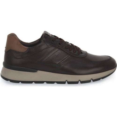 Sneaker NERO GIARDINI 322 SAVANA BROWN - NeroGiardini - Modalova