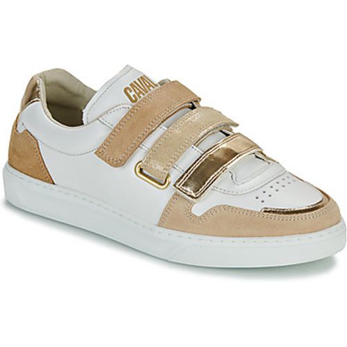 Caval Sneaker VELCROS - Caval - Modalova