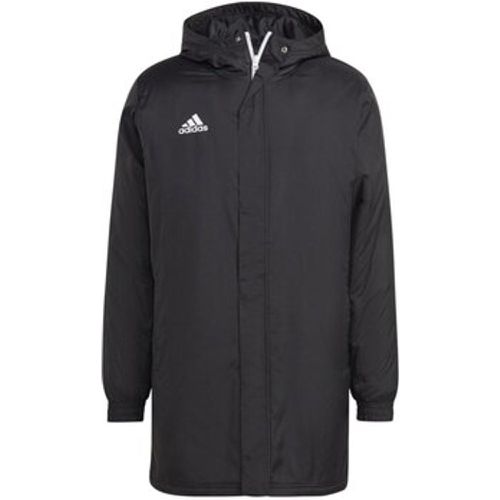 Herren-Jacke Sport ENT22 STADJKT IB6076 - Adidas - Modalova