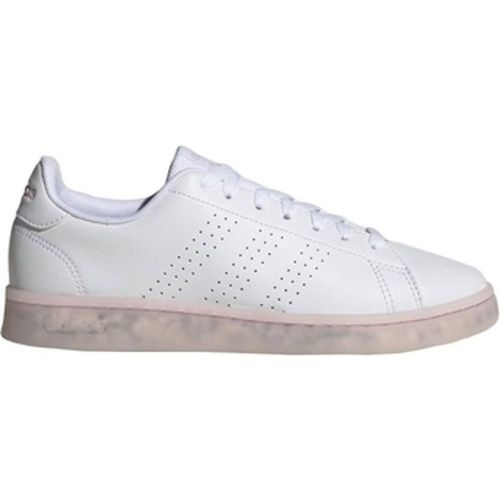 Adidas Damenschuhe Baskets - Adidas - Modalova