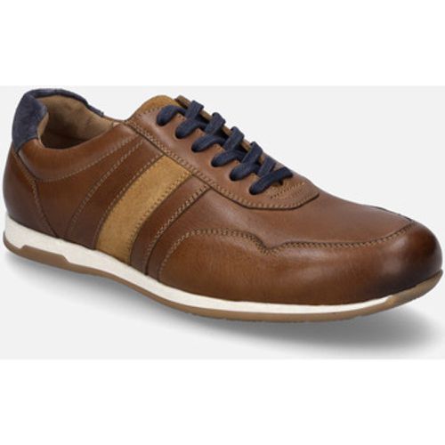 Halbschuhe Colby 02, cognac-kombi - Josef Seibel - Modalova