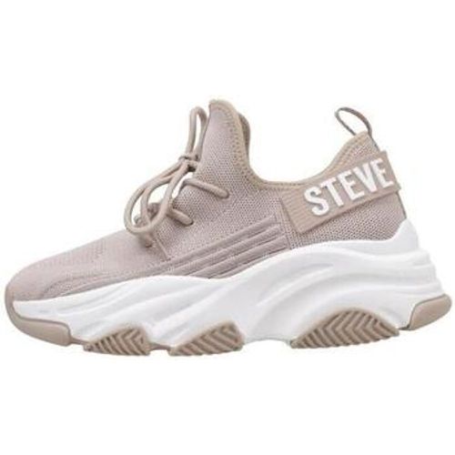 Steve Madden Sneaker PROTEGE-E - Steve Madden - Modalova