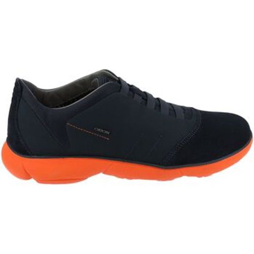 Geox Sneaker Sneaker - Geox - Modalova