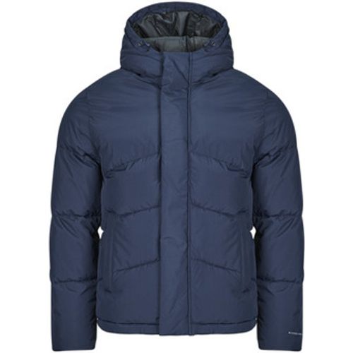 Jack & Jones Daunenjacken JJWORLD - jack & jones - Modalova