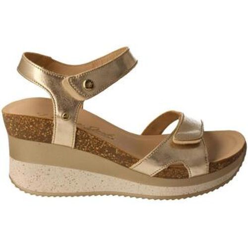 Panama Jack Sandalen - Panama Jack - Modalova