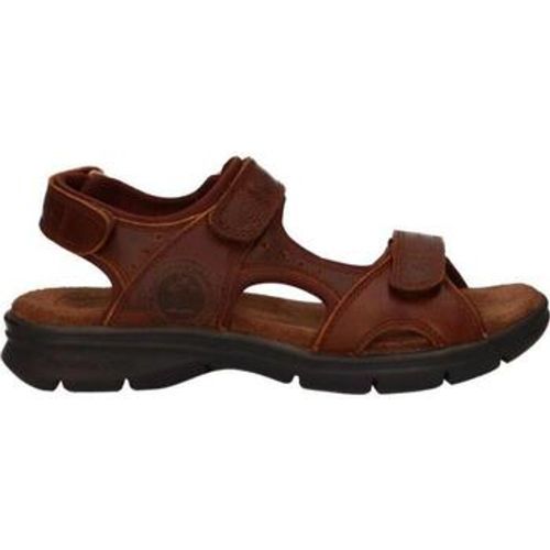 Sandalen SALTON BASICS C4 - Panama Jack - Modalova