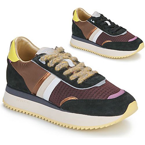 Serafini Sneaker TORINO - Serafini - Modalova