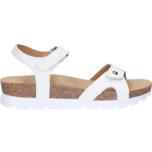 Sandalen SULIA BASICS B1 - Panama Jack - Modalova