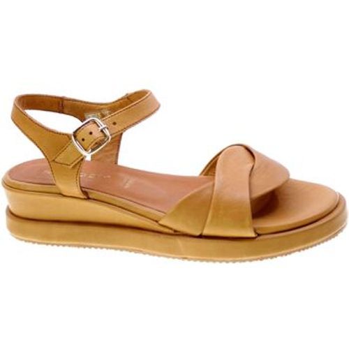 Shaddy Sandalen 144130 - Shaddy - Modalova