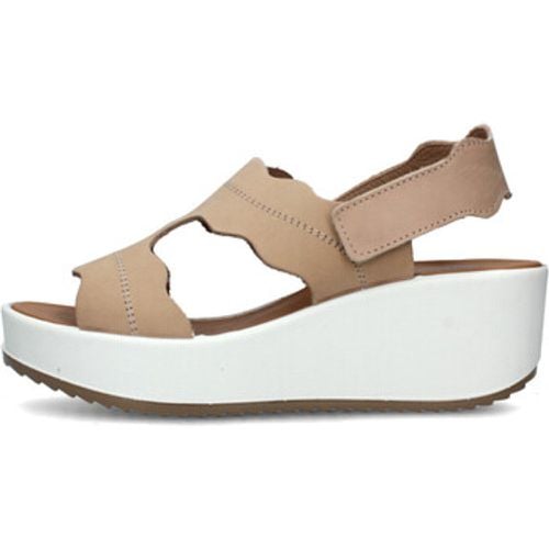 IgI&CO Sandalen 5668422 - IGI&Co - Modalova