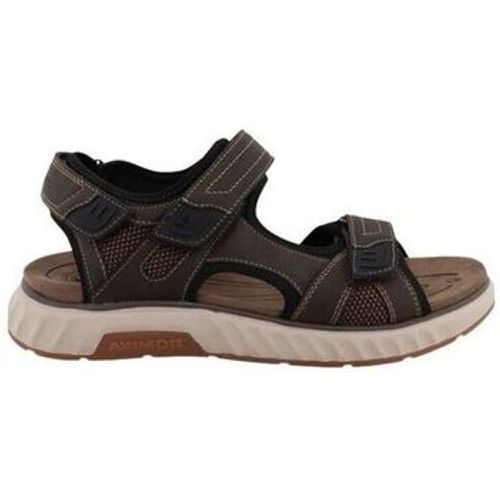 Westland Sneaker 74R0071002 - Westland - Modalova