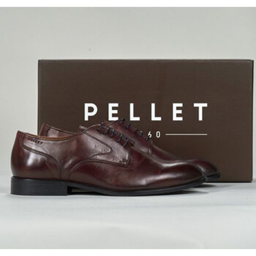 Pellet Schuhe CLOVIS - Pellet - Modalova