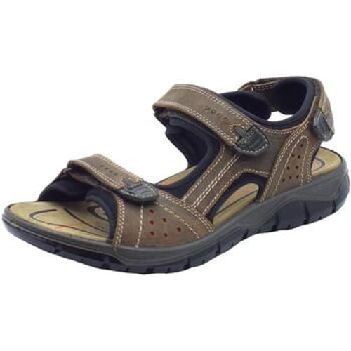 IgI&CO Sandalen 5642622 Nabuk - IGI&Co - Modalova