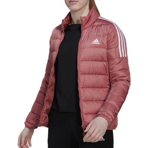 Adidas Daunenjacken HK4663 - Adidas - Modalova
