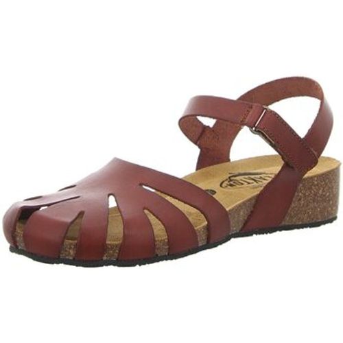 Sandalen Sandaletten 775929 CAMELLO - Plakton - Modalova