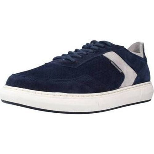 Herrenschuhe RAPID 12 VELOUR - Stonefly - Modalova