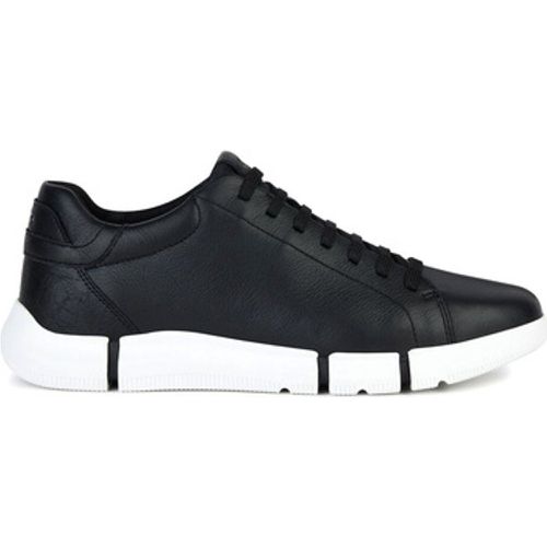 Sneaker U Adacter sneaker in pelle - Geox - Modalova