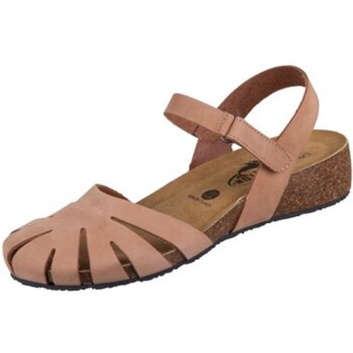 Sandalen Sandaletten Norita 775929 98 877 cuoio Nobuck 775929 98 877 - Plakton - Modalova