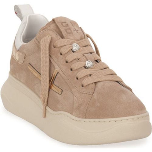 Gio + Sneaker GIO COMBI SAHARA - Gio + - Modalova