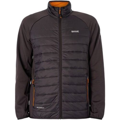 Trainingsjacken Clumber Hybrid Jacke - Regatta - Modalova