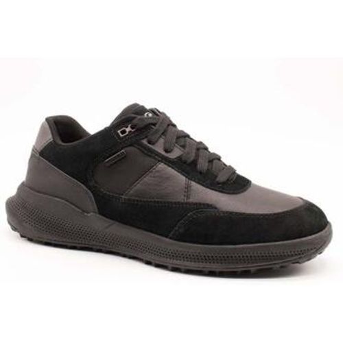 Geox Sneaker - Geox - Modalova