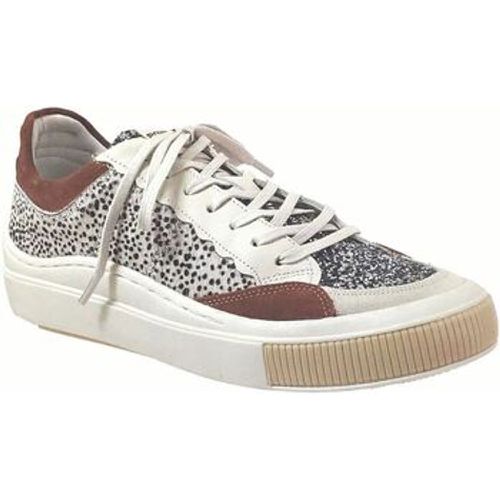 Shelter Sneaker Mon005 - Shelter - Modalova