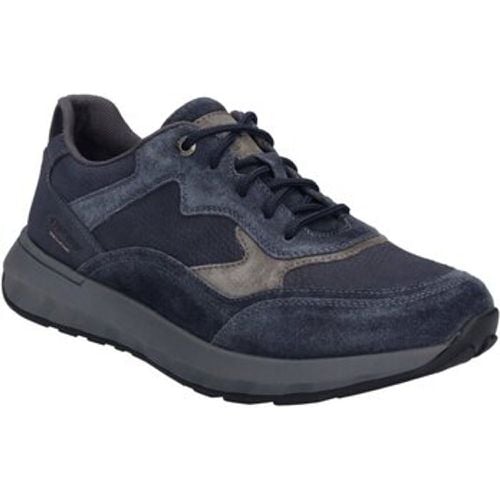 Halbschuhe Schnuerschuhe Cameron 07 33607-TE796531 - Josef Seibel - Modalova