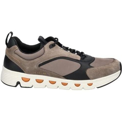 Geox Sneaker Sneaker - Geox - Modalova