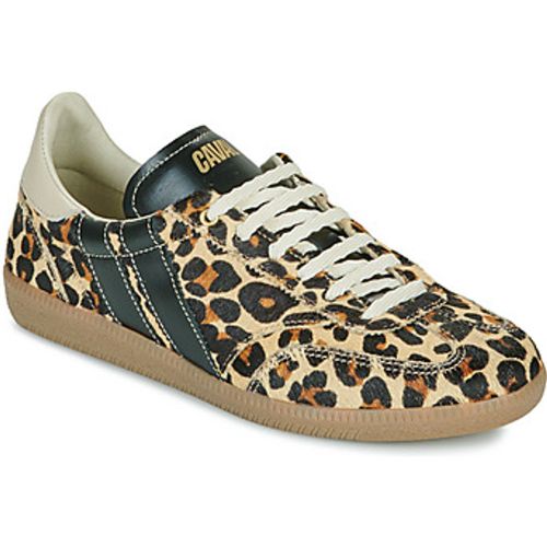 Caval Turnschuhe LEO OBSESSION - Caval - Modalova