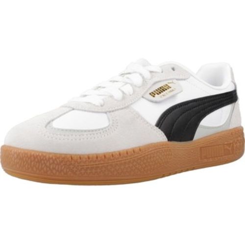 Puma Sneaker PALERMO MODA WNS - Puma - Modalova