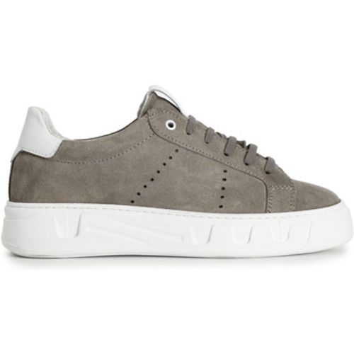 Café Noir Sneaker C1XN1017 - Café Noir - Modalova