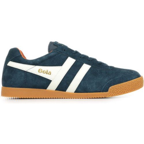 Gola Sneaker Harrier Suede - Gola - Modalova