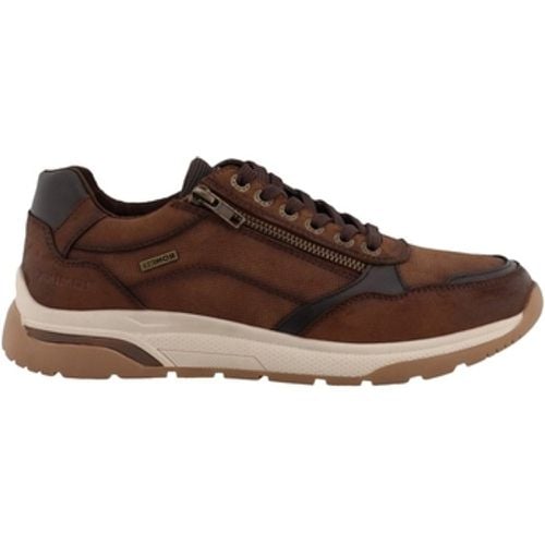 Westland Sneaker 84R0051001 - Westland - Modalova