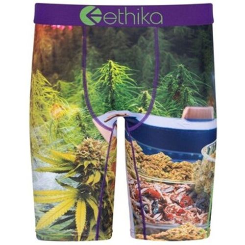 Ethika Boxer - Ethika - Modalova