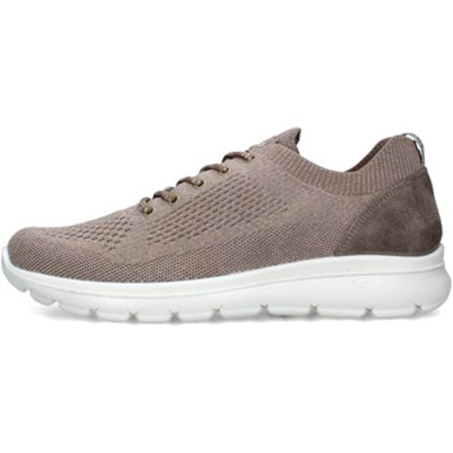 IgI&CO Sneaker 7619033 - IGI&Co - Modalova