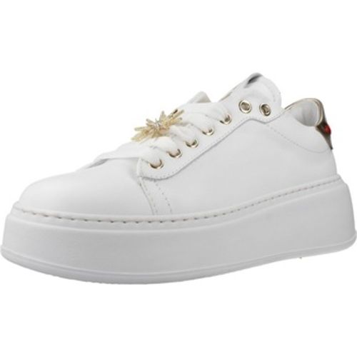 Gio + Sneaker PIA334A - Gio + - Modalova