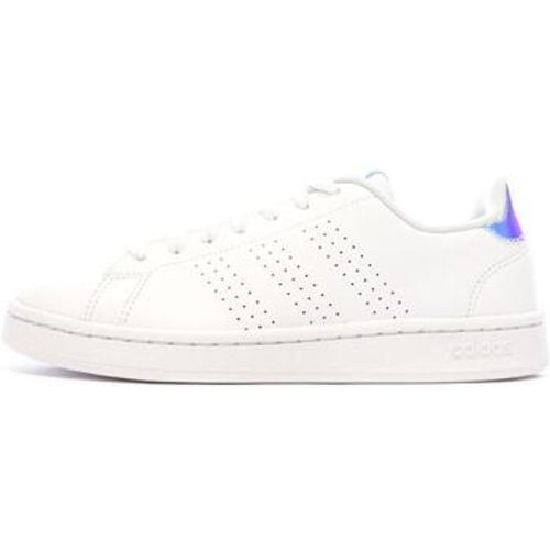 Adidas Sneaker IF6117 - Adidas - Modalova