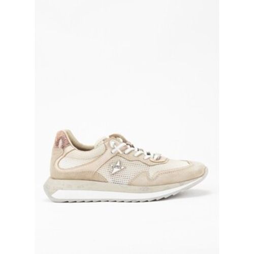 Cetti Sneaker 39005 - Cetti - Modalova