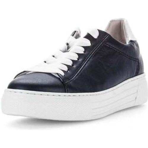 Gabor Sneaker 66.460.66 - Gabor - Modalova