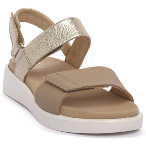 Ara Sandalen CERVOCALF GAUCHO Beige In Damengrößen erhältlich. 38. Jetzt CERVOCALF GAUCHO von Ara auf Spartoo.de versandkostenfrei bestellen! - 30119945F3 - Modalova