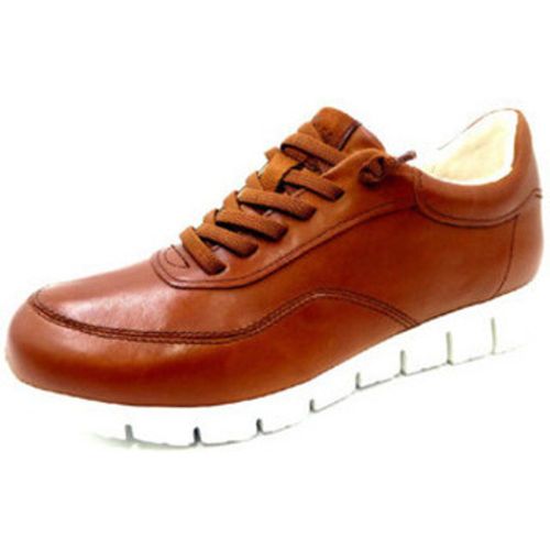 Sneaker Freizeit Schnürer für Herren - Sioux - Modalova