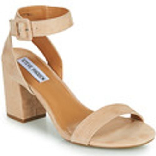 Sandali Steve Madden MALIA - Steve Madden - Modalova