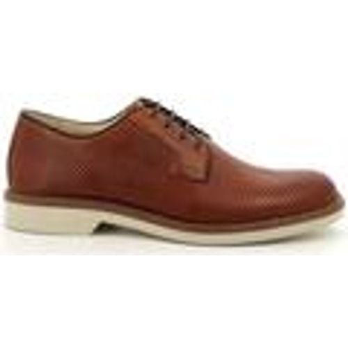 Scarpe da trekking oxford derby - IGI&Co - Modalova