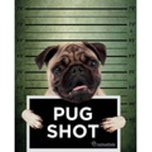 Poster Rachael Hale PM3372 - Rachael Hale - Modalova