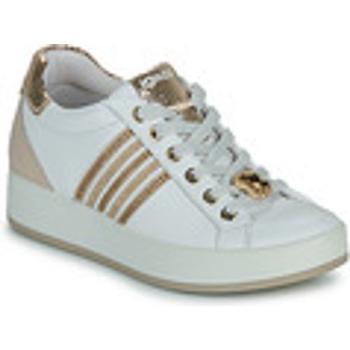 Sneakers basse IgI&CO 5657211 - IGI&Co - Modalova