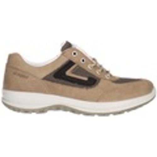 Scarpe Grisport 8601 - GriSport - Modalova