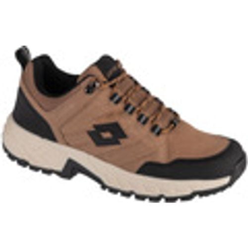 Scarpe da trekking Lotto Ketcham - Lotto - Modalova