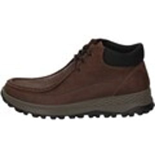 Scarpe da trekking IgI&CO 66284/22 - IGI&Co - Modalova